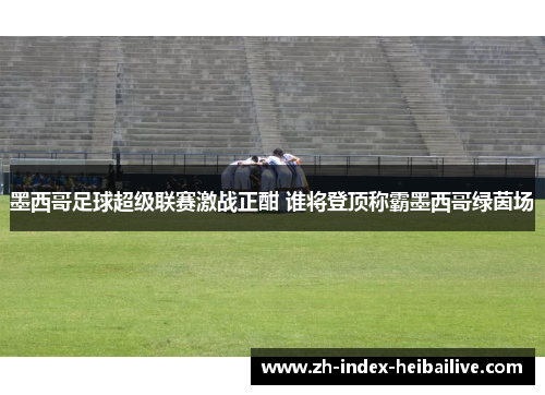 墨西哥足球超级联赛激战正酣 谁将登顶称霸墨西哥绿茵场
