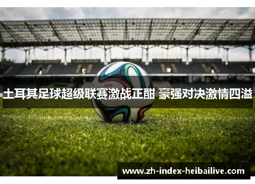 土耳其足球超级联赛激战正酣 豪强对决激情四溢