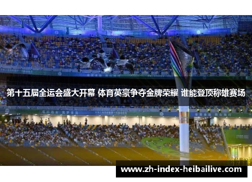 第十五届全运会盛大开幕 体育英豪争夺金牌荣耀 谁能登顶称雄赛场