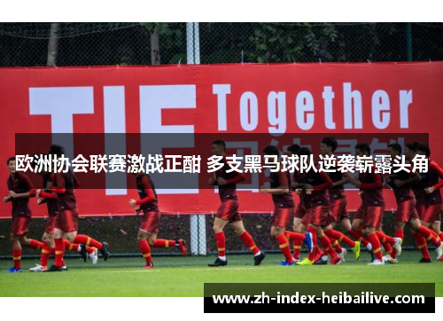 欧洲协会联赛激战正酣 多支黑马球队逆袭崭露头角